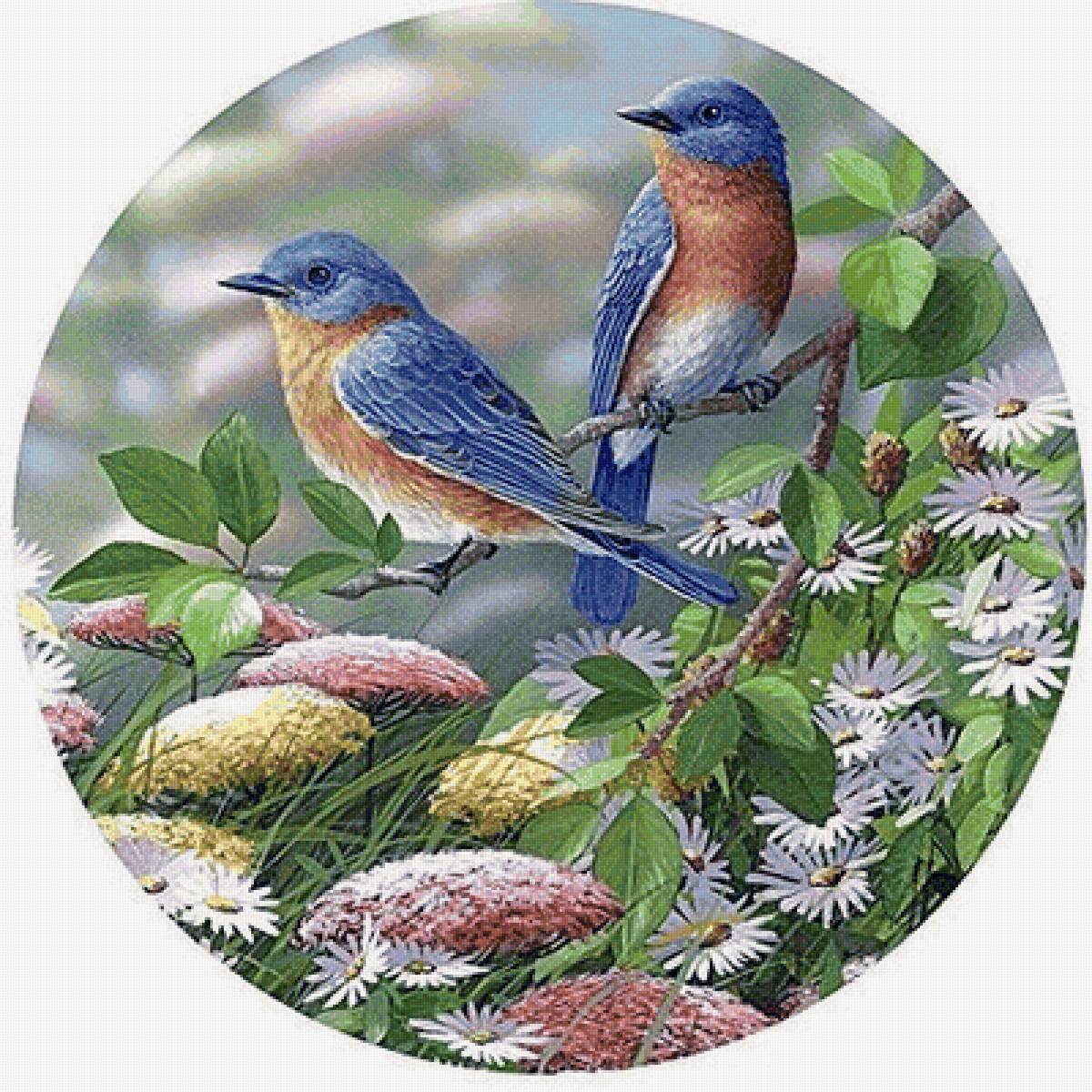 Puzzle bird. Пейзаж с птицами. Картина с птичками круглая. Птицы в круглой рамке. Картина птицы.