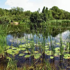 Схема вышивки «№2320440»