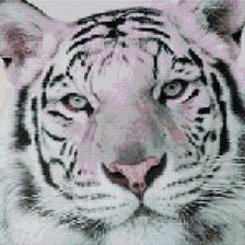 Схема вышивки «№2320515»