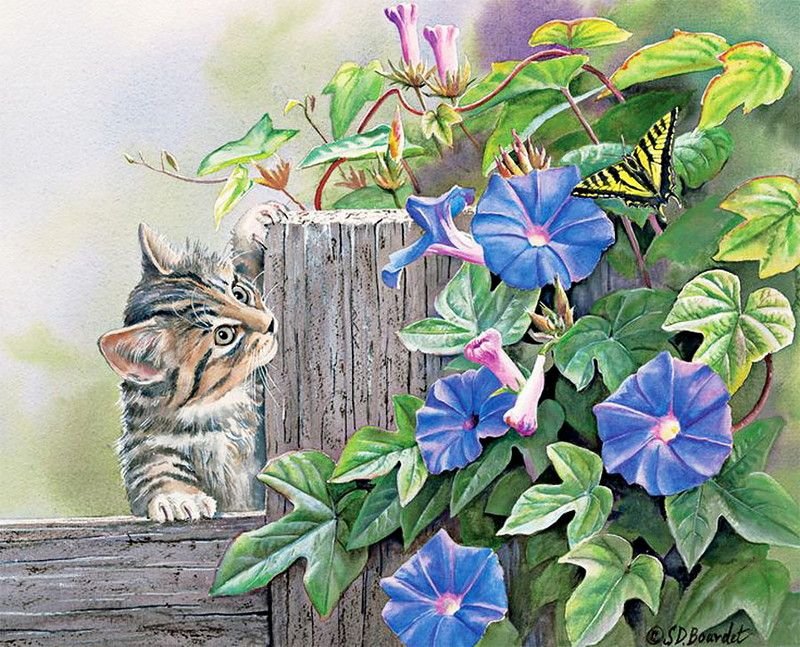 Gato. - animais.flores. - оригинал