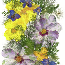 Схема вышивки «№2320731»