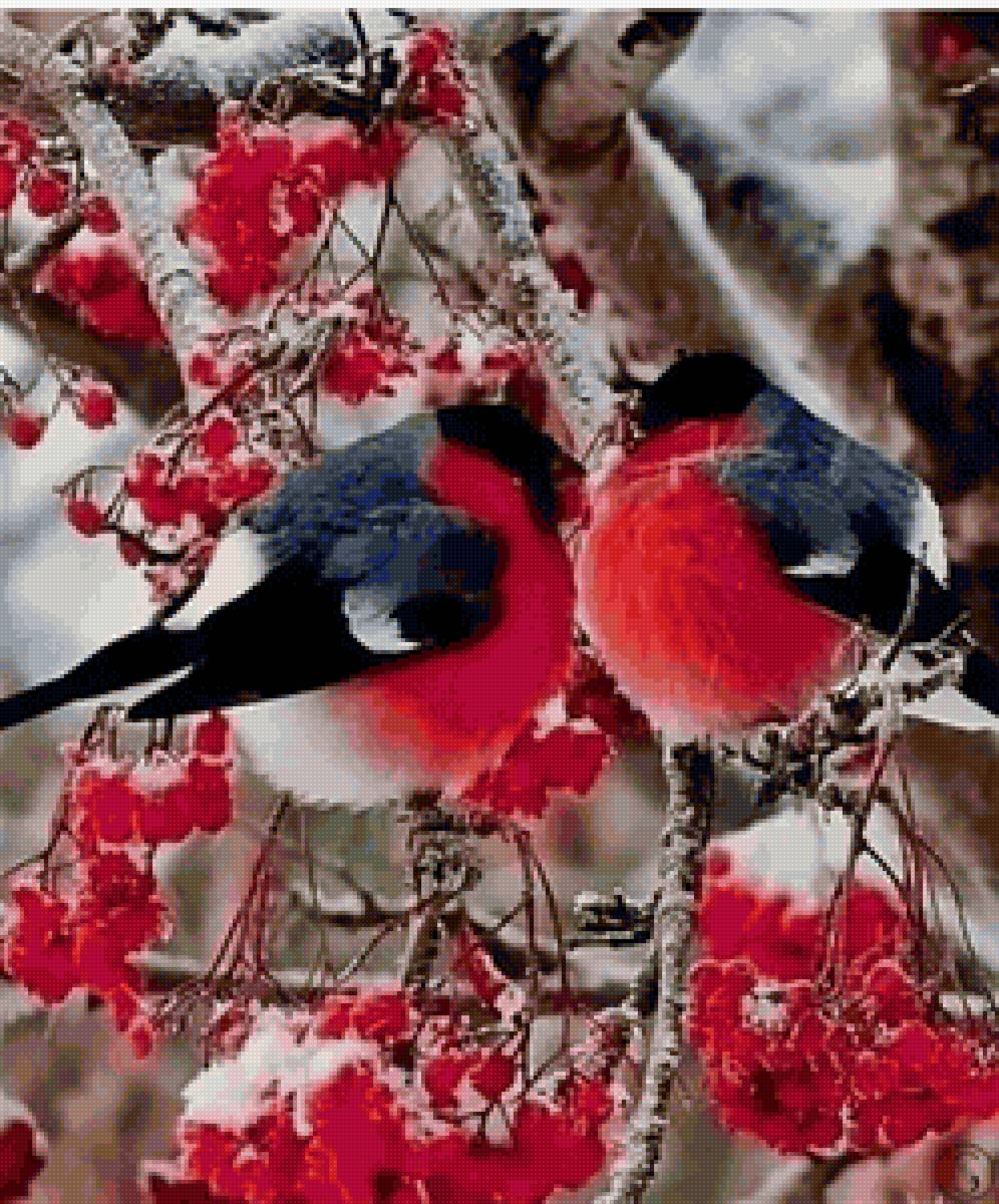 снегири - предпросмотр