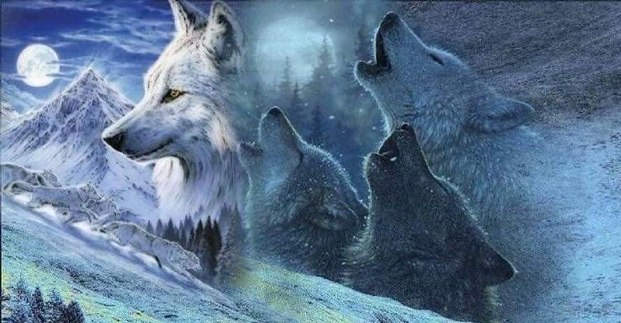 Luna llena - naturaleza - оригинал