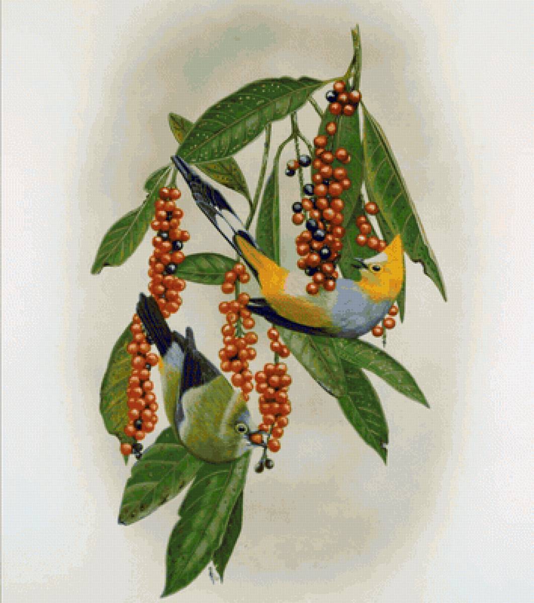 la cena - naturaleza - предпросмотр