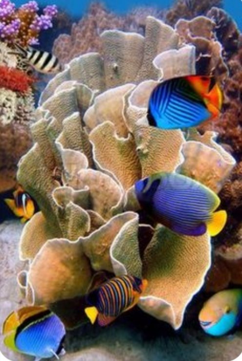 colores4 - naturaleza - оригинал