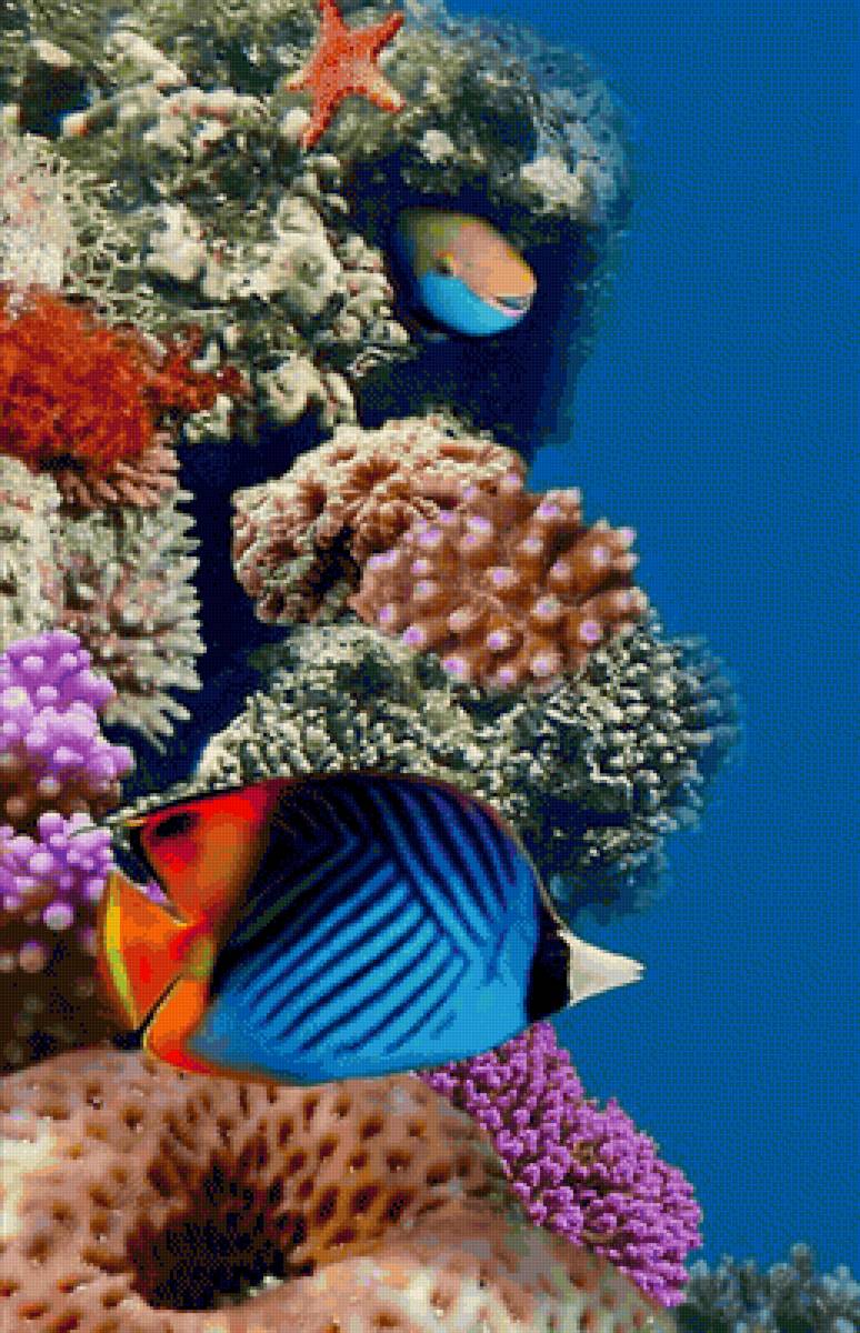 En el mar - mar - предпросмотр