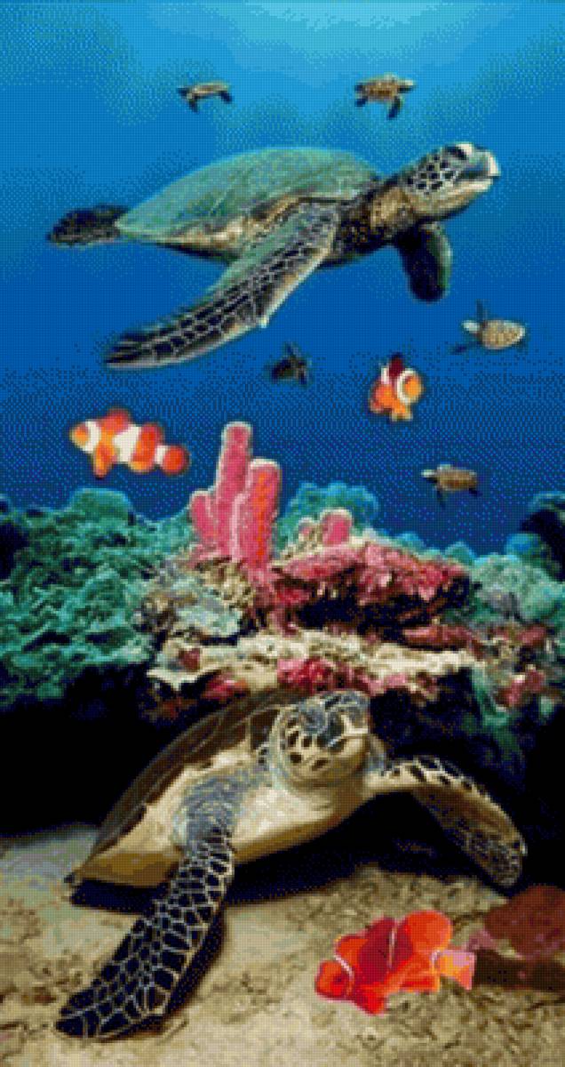 tortugas - mar - предпросмотр
