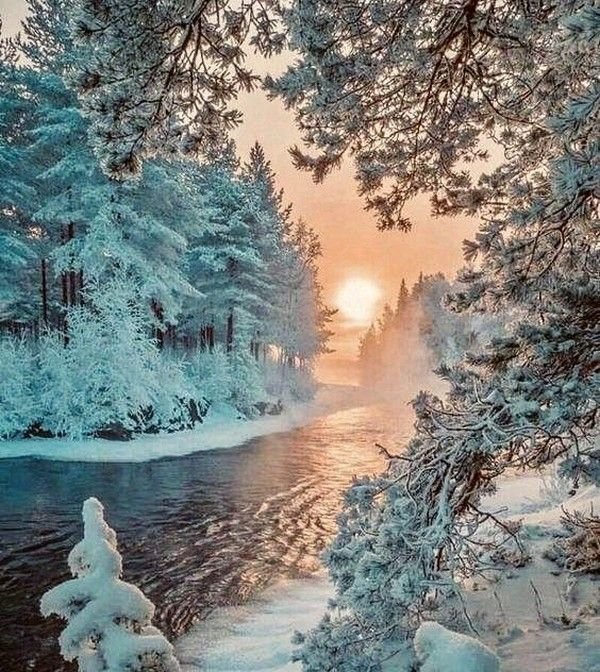 №2320965 - оригинал