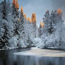 Схема вышивки «№2320976»