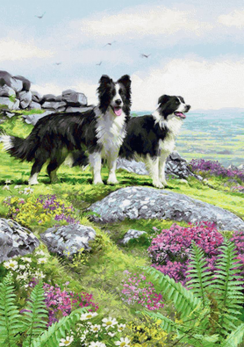 №2321494 - рисунок - предпросмотр