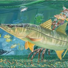 Схема вышивки «Peixes.»