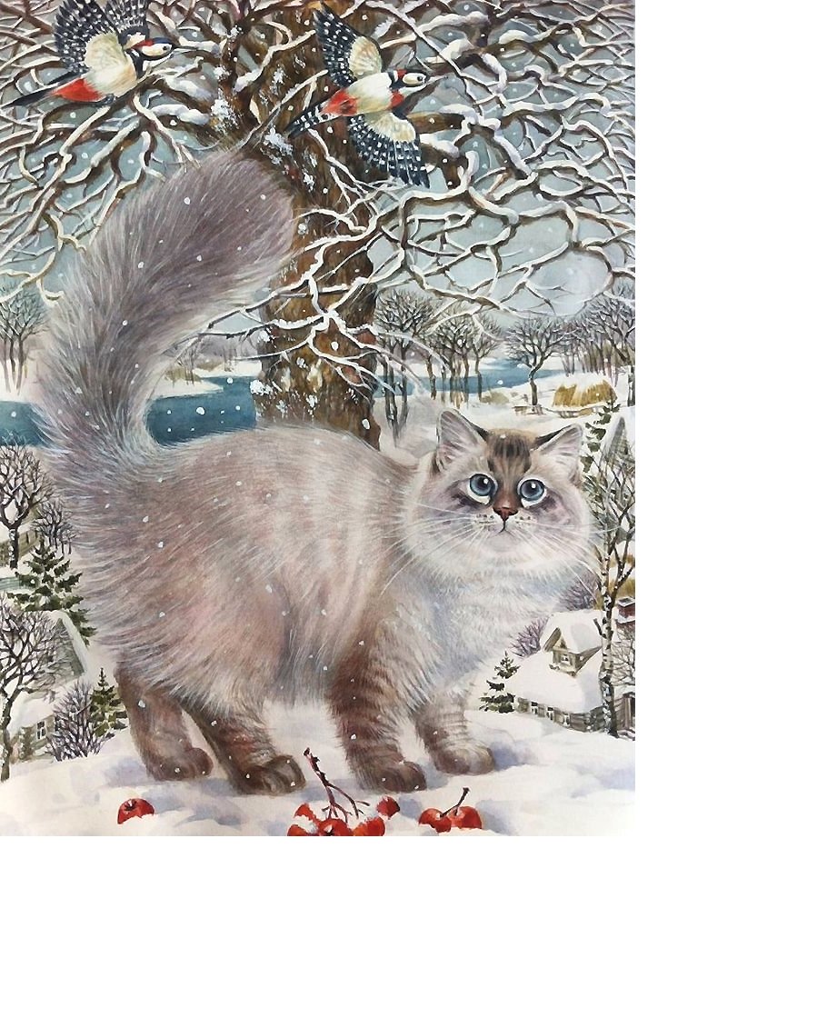 249х328 - оригинал