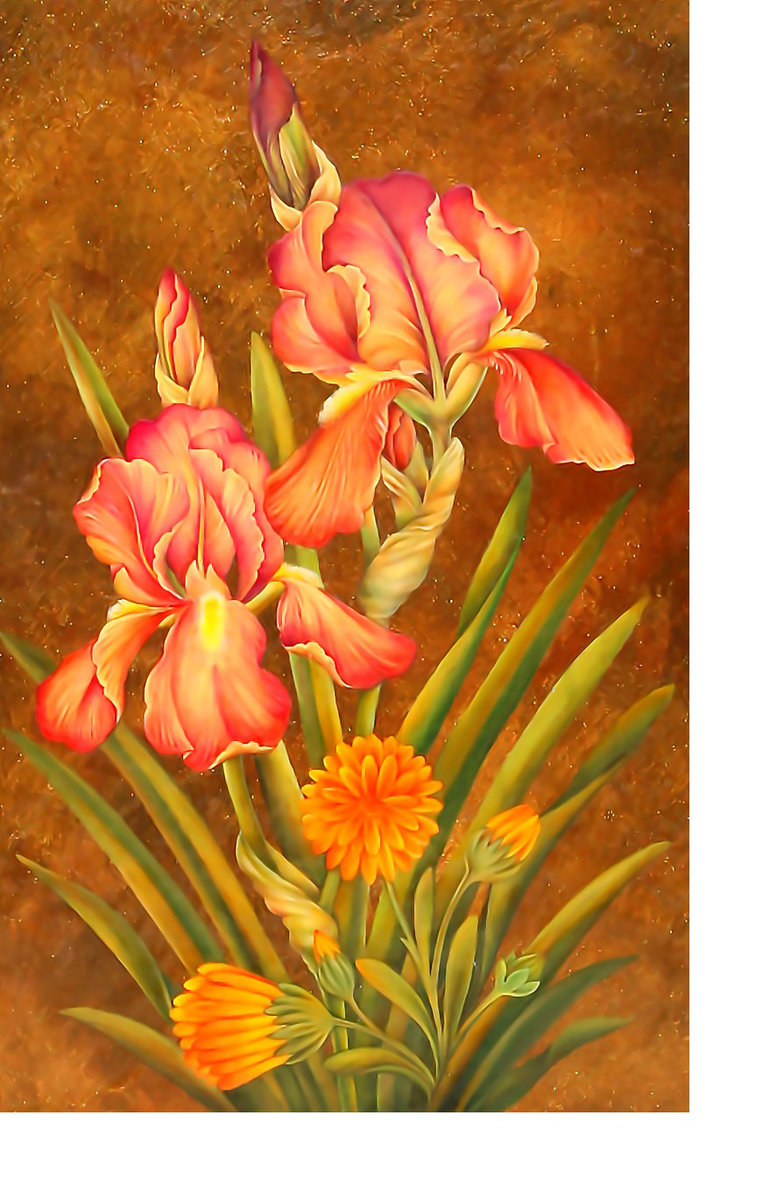 №2322642 - ирисы, цветы - оригинал