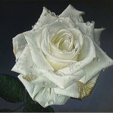 Утренняя роса