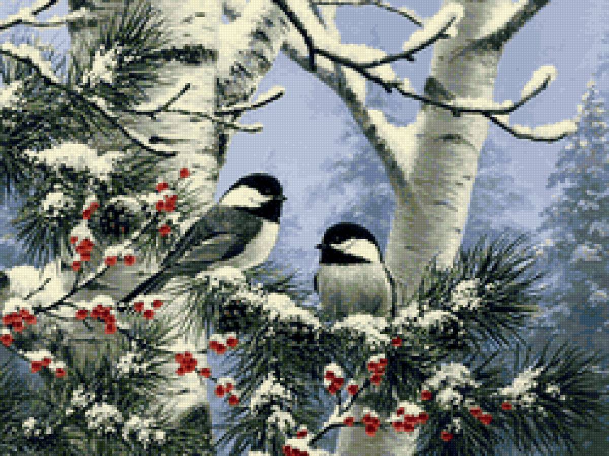 Птицы 24 - птицы, рябина, лес., зима - предпросмотр