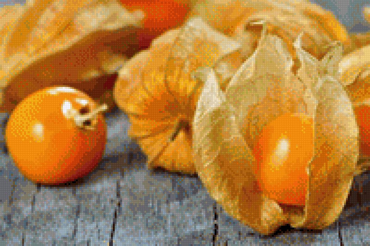 Физалис солнечный - растения, коробочка, физалис, ягода, желтый - предпросмотр