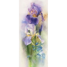 Схема вышивки «Панелька Ирисы»