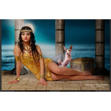 Схема вышивки «Ночь»