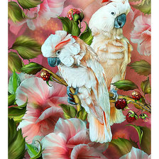 Схема вышивки «какаду»