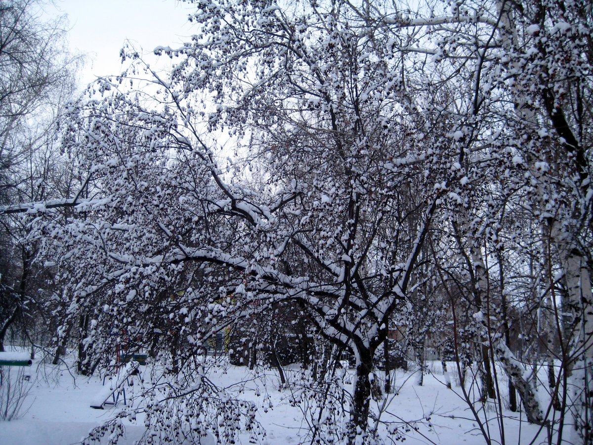 Зима - зима - оригинал