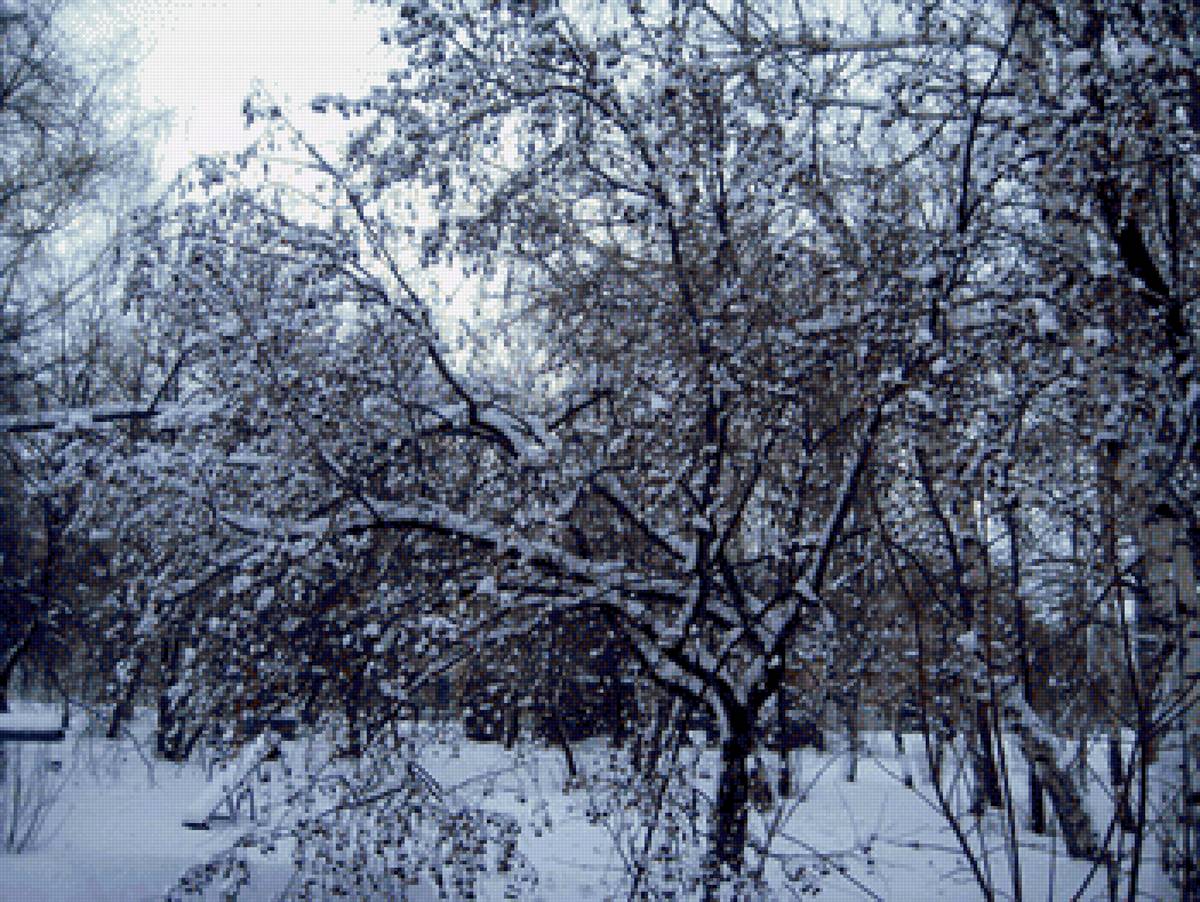 Зима - зима - предпросмотр