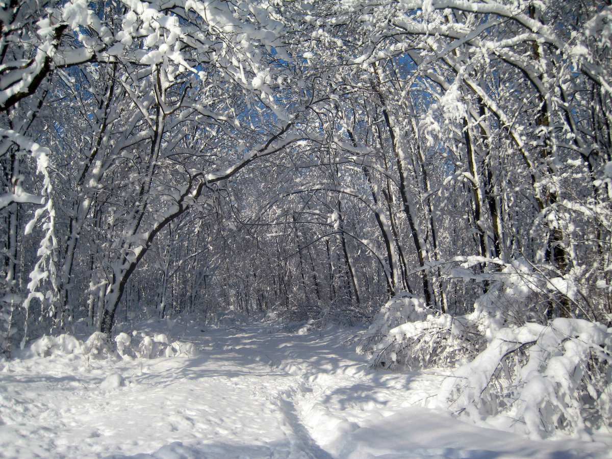 Зима - зима - оригинал