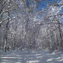 Схема вышивки «Зима»