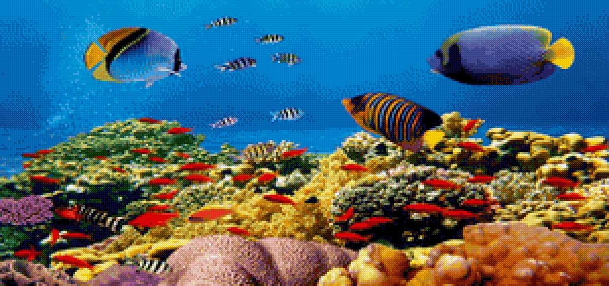 Рыбы - океан, рыбы, подводный мир - предпросмотр