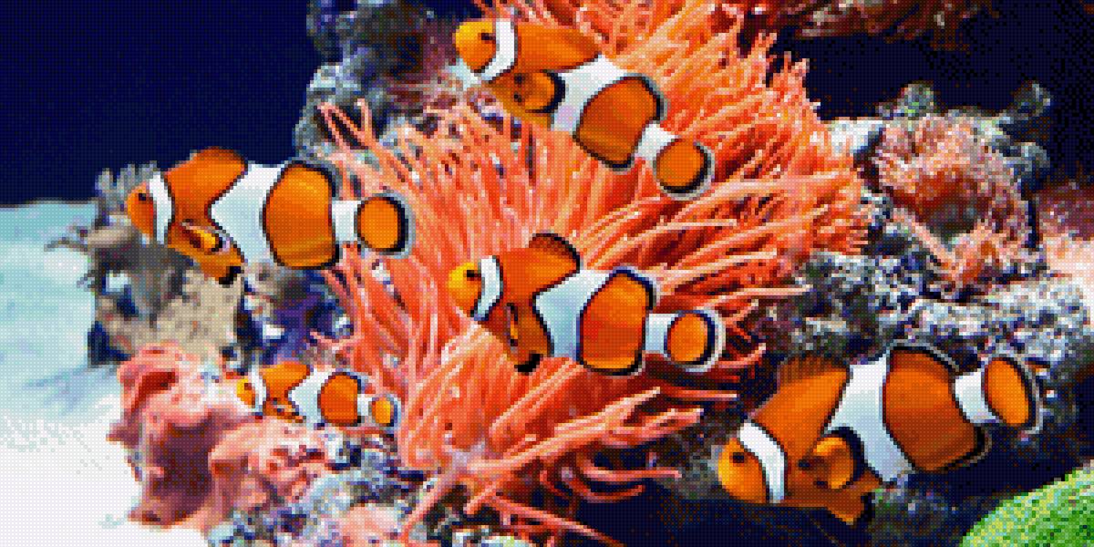 Рыбы - океан, подводный мир, рыбы - предпросмотр