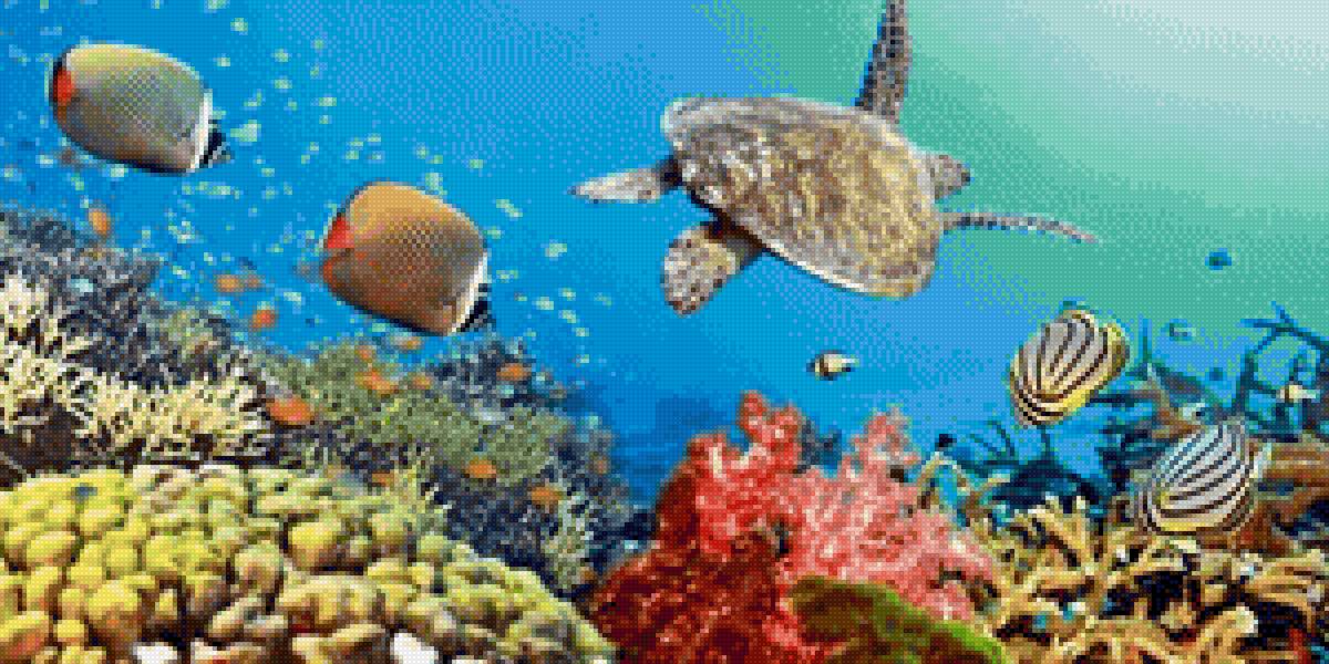 Рыбы - подводный мир, океан, рыбы - предпросмотр