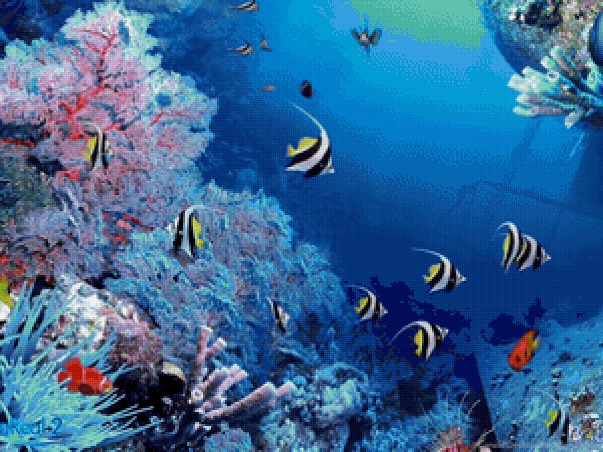 Рыбы - подводный мир, рыбы, океан - предпросмотр