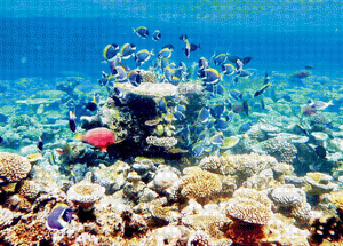 Рыбы - океан, подводный мир, рыбы - предпросмотр