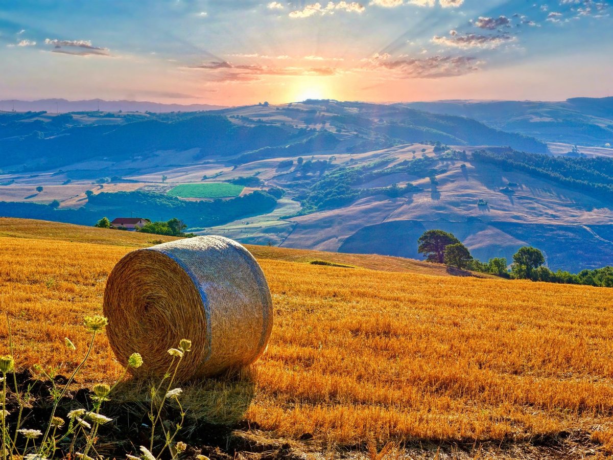 Campania - italy, summer, beautiful nature, fields, sunset, dawn - оригинал