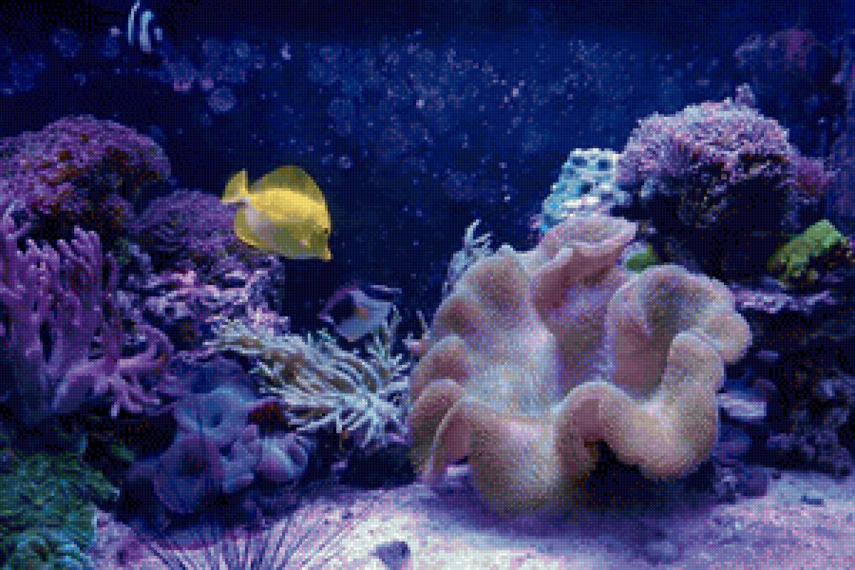 Подводный мир - рыбы, океан, подводный мир - предпросмотр