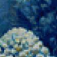 Предпросмотр схемы вышивки «Подводный мир» (№2324851)