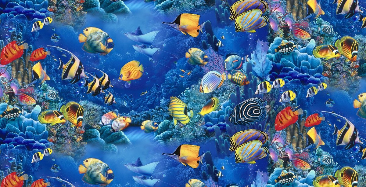 Подводный мир - рыбы, подводный мир, океан - оригинал