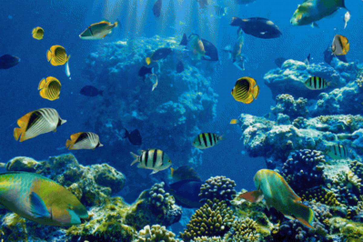 Подводный мир - океан, рыбы, подводный мир - предпросмотр