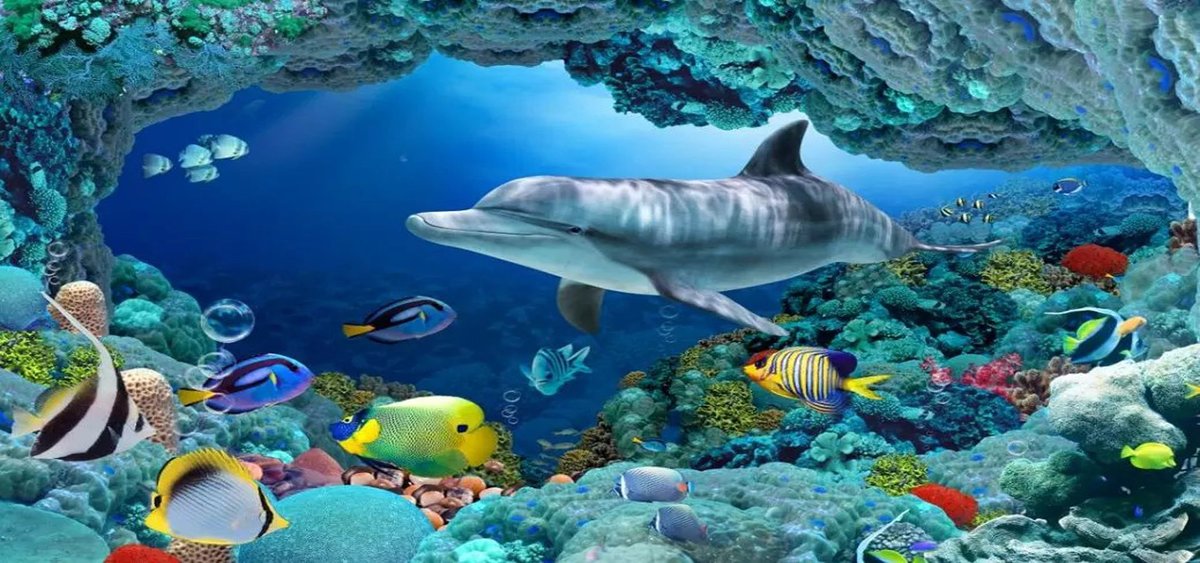 Подводный мир - подводный мир, рыбы, океан, дельфины - оригинал
