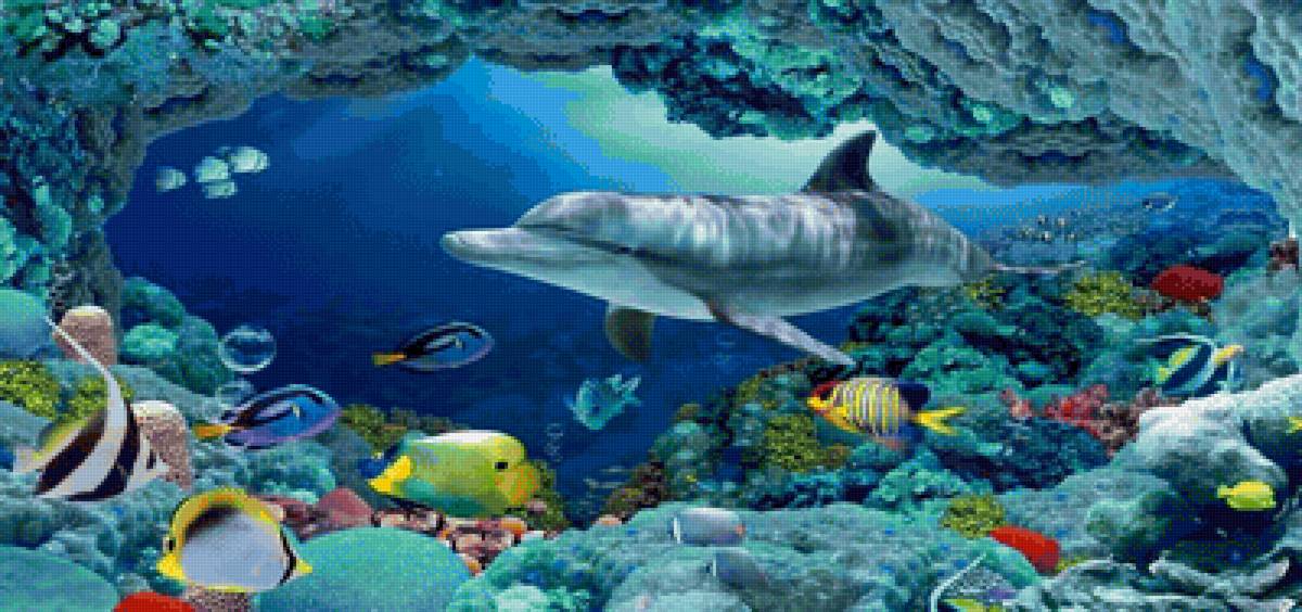 Подводный мир - дельфины, подводный мир, океан, рыбы - предпросмотр