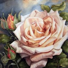 Схема вышивки «Роза»