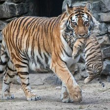 Схема вышивки «Mãe com filhote»