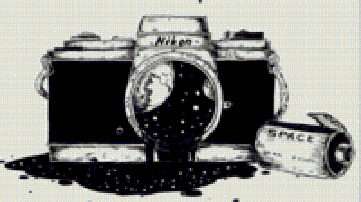 красота в фотографии - красота, фотоопарат - предпросмотр