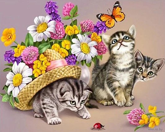 mačiatka - оригинал