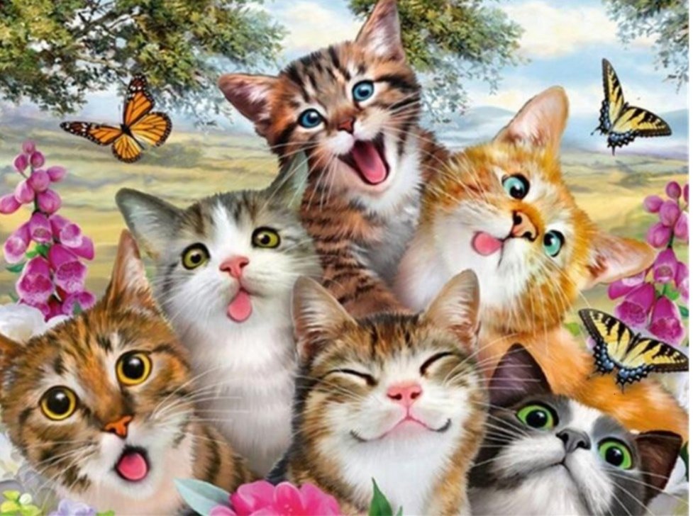 Gatitos - gatos - оригинал