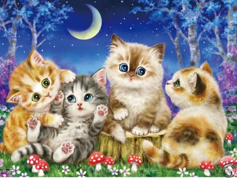 котята - оригинал