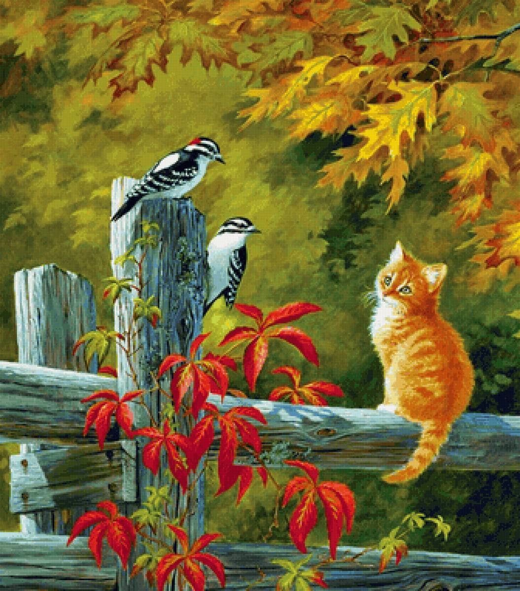 Gato. - animais. pássaros. - предпросмотр