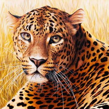 Схема вышивки «Леопардик на отдыхе»