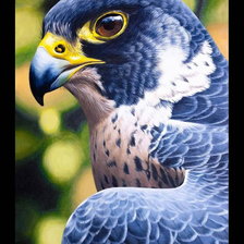 Схема вышивки «Взгляд хищника»