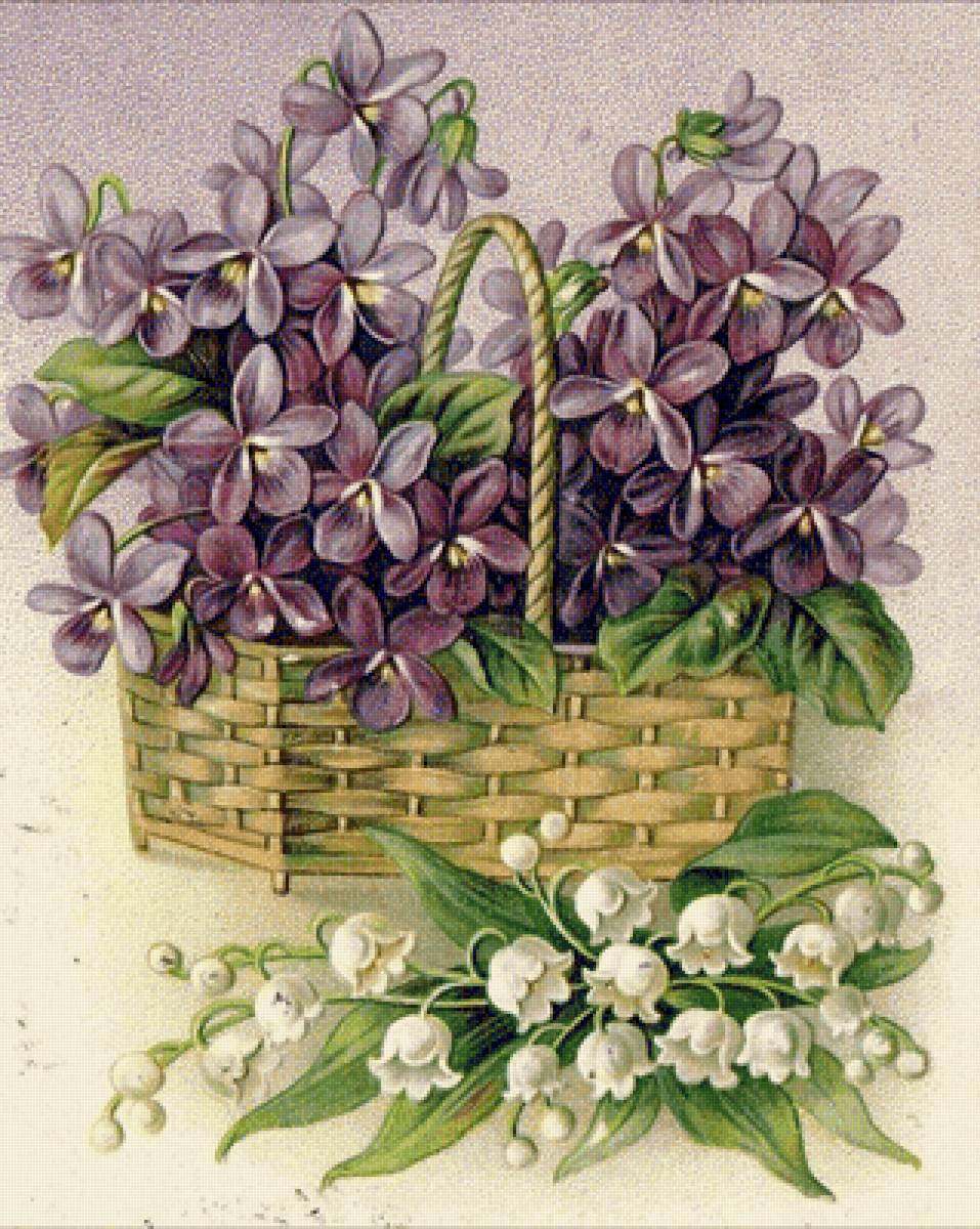 Цветы - предпросмотр