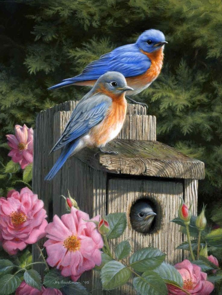 170 - ale - оригинал